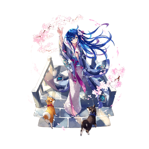 Sets anniv