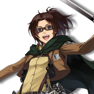 Aot hanj closeup
